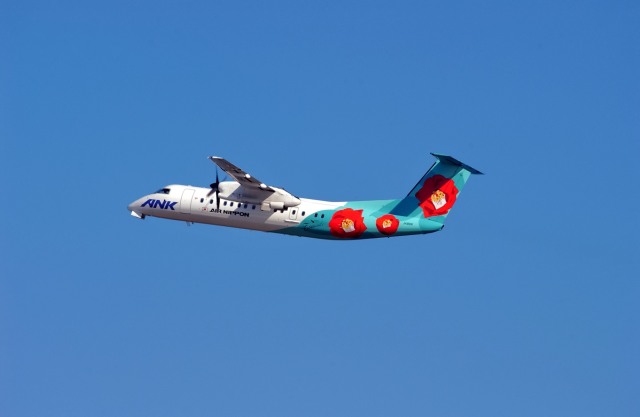 お花の飛行機 つばき」特別塗装機 エアーニッポン (DHC-8-300 | JA801K