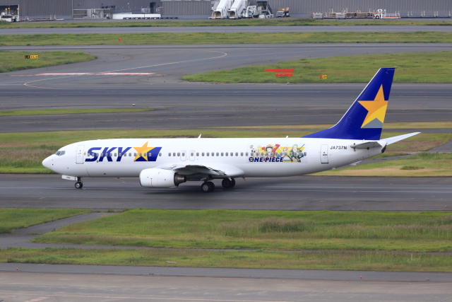 ワンピースジェット」特別塗装機 スカイマーク (737-800 | JA737N
