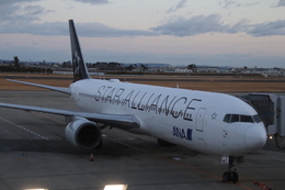 スターアライアンス」特別塗装機 全日空 (767-300 | JA614A) ガイド