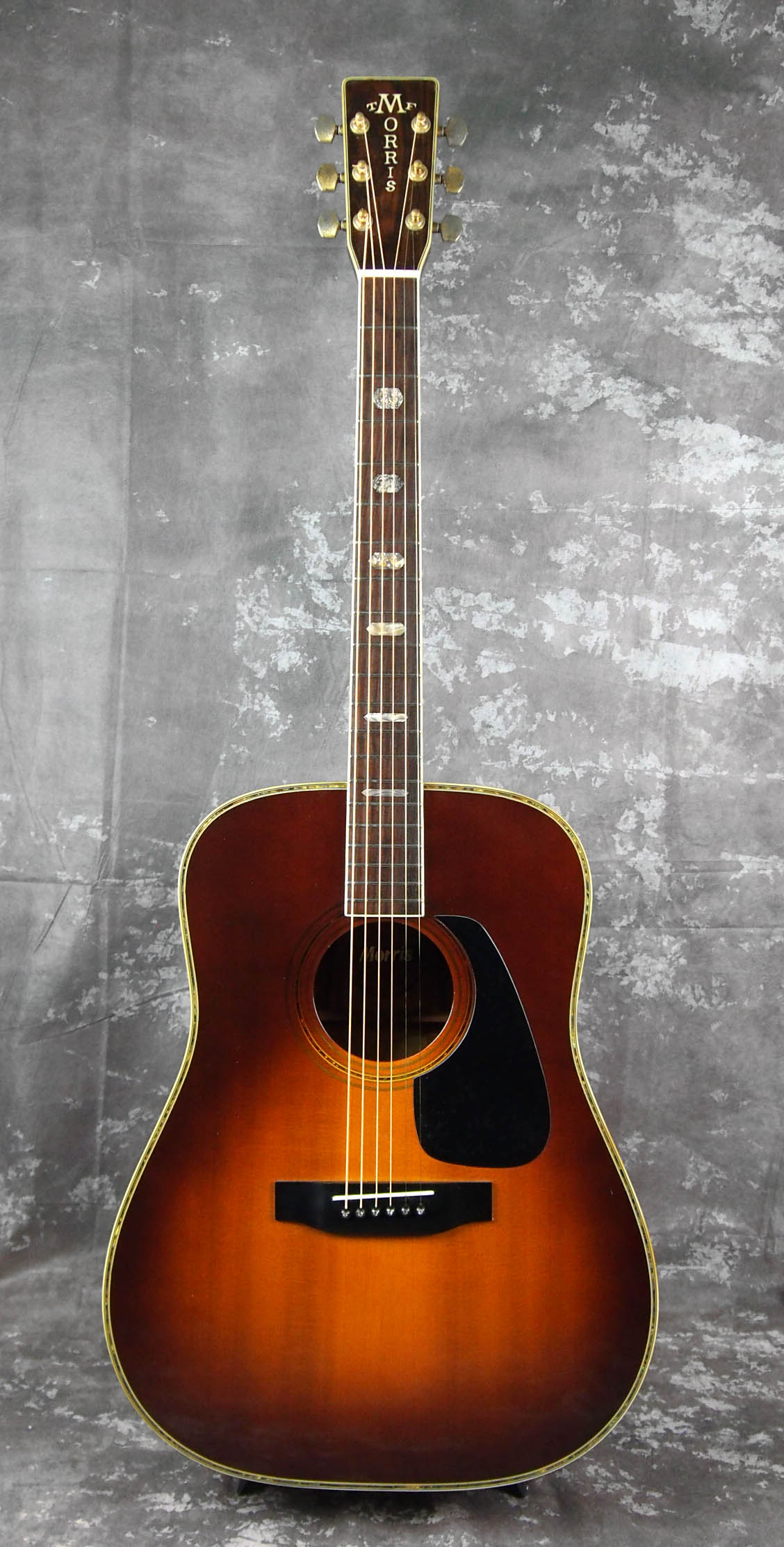 買取情報】国産アコースティックの代名詞、モーリスの”TF”シリーズ