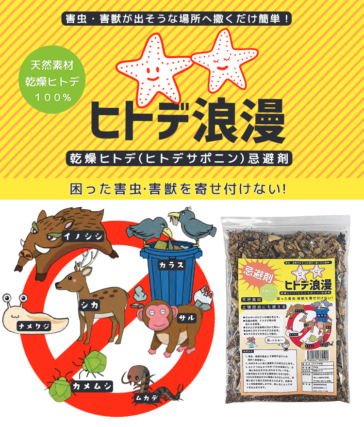 ヒトデ浪漫 | 撃退百貨店