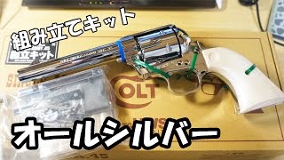 Model Gun] Finally back on sale! I bought the HWS silver-plated