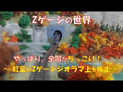 鉄道模型】Zゲージの世界 ～EF63貨物列牽引と165系～／鉄道模型を