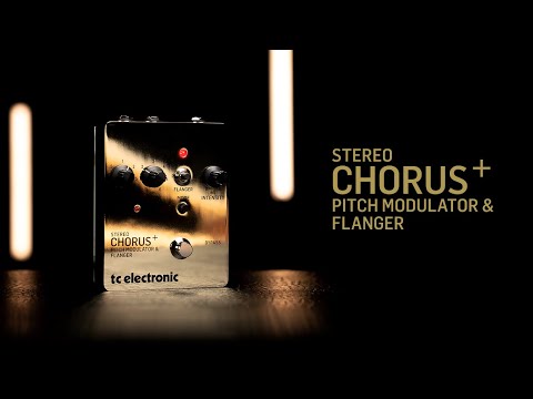 SCF GOLD SE - Official Product Launch Video - YouTube