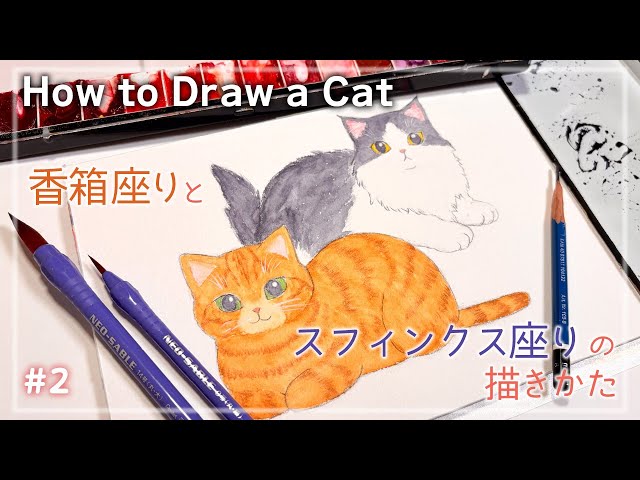 Easy & Cute! 😸Cat Sitting Poses for Beginners [Loaf Position