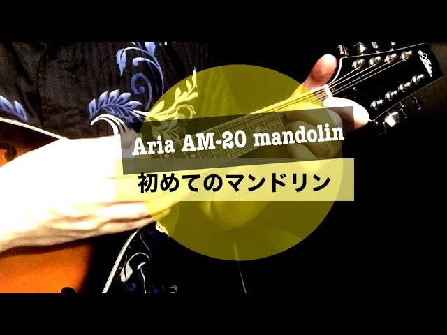中古で衝動買いしたフラットマンドリン「Aria AM-20」をウクレレ