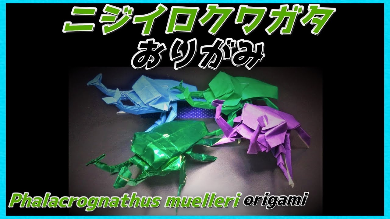 ニジイロクワガタおりがみ(Phalacrognathus muelleri/Rainbow-colored