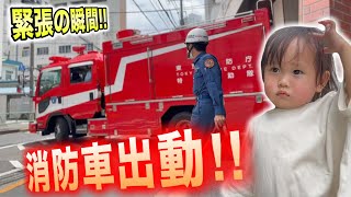 mqdefault.jpg
