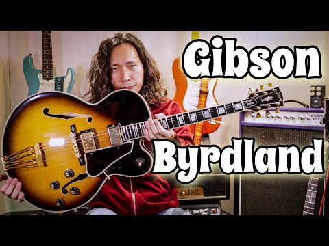 ヴィンテージ】フルアコを徹底的に弾いてみた🎸バードランド 1976年製