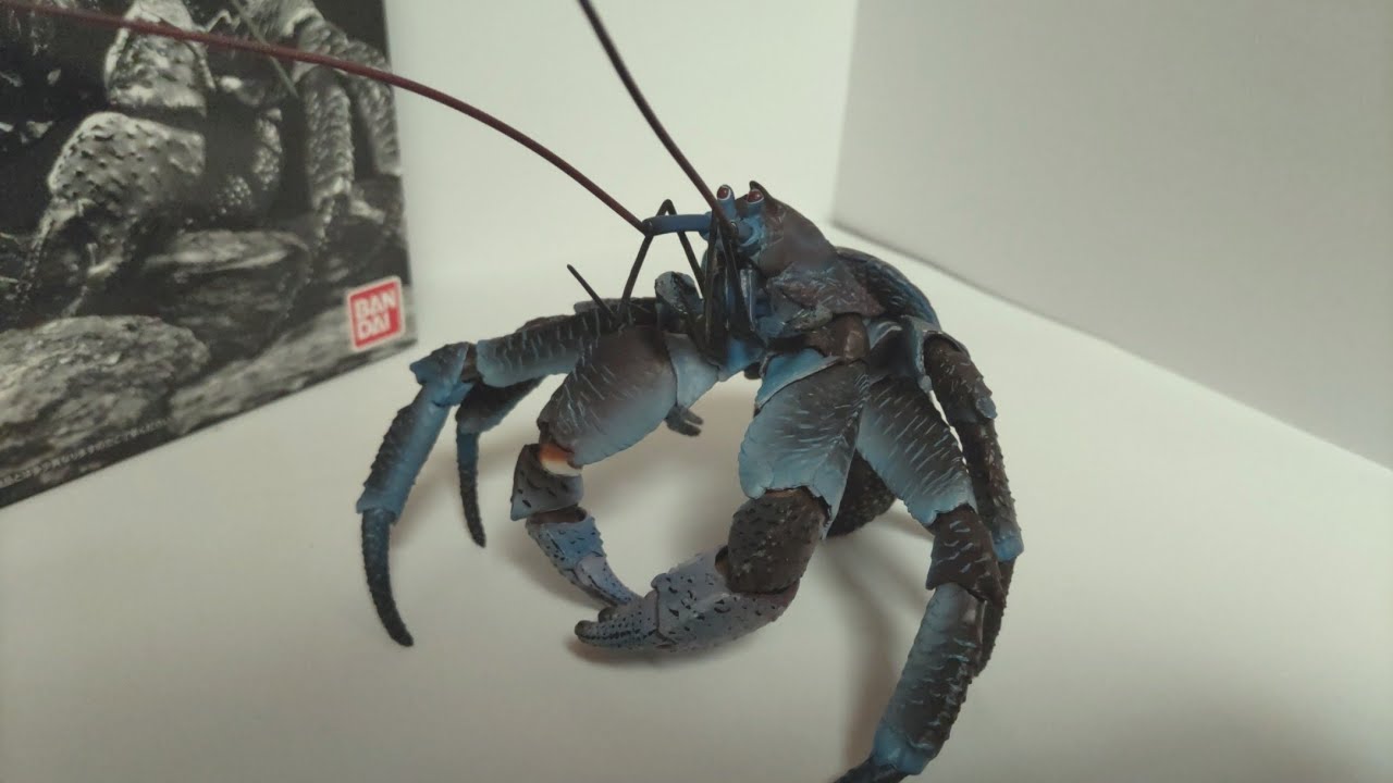 いきもの大図鑑プレミアム ヤシガニ レビュー - YouTube