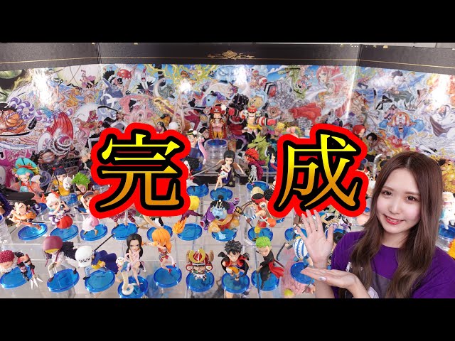 It was amazing to display all the World Collectible Figures from