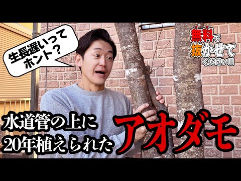 022202 Final confirmation - YouTube