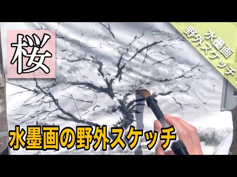 Outdoor sketch] How to draw cherry blossoms with ink painting