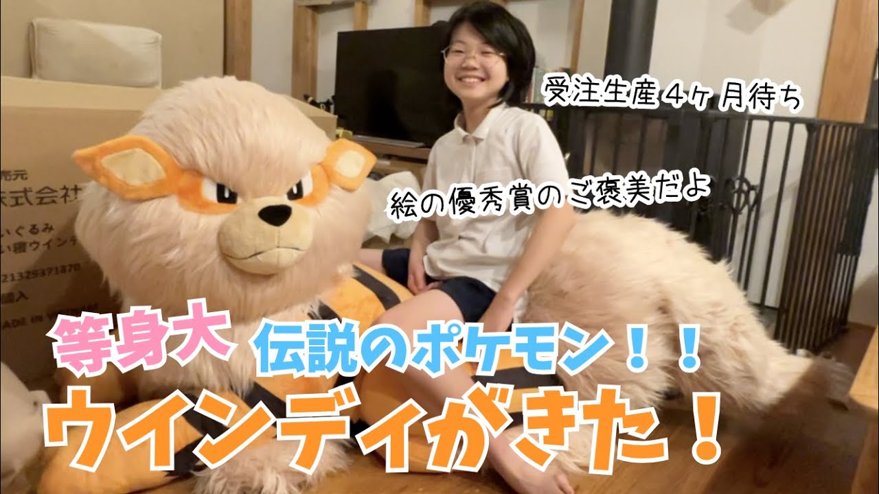 等身大のウインディがきた！！待ちに待ったさなちゃんへのご褒美