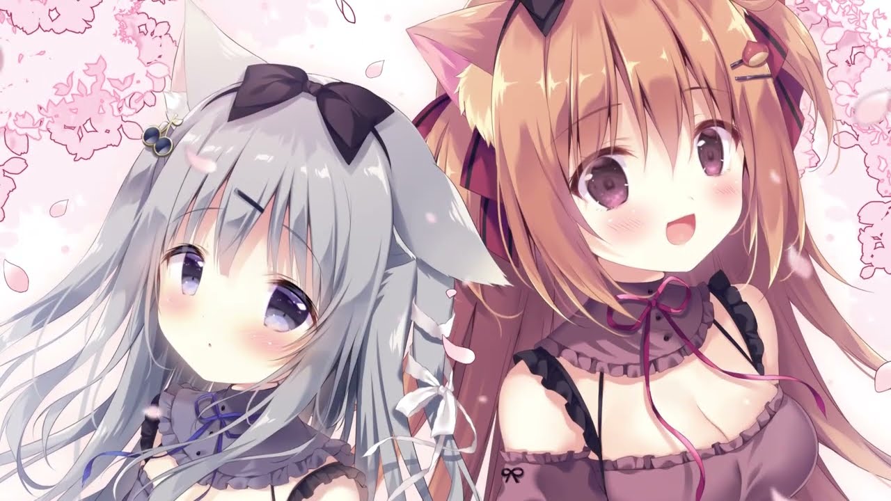 hq720.jpg?sqp=-