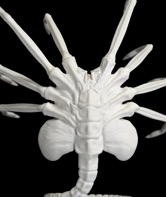 3Dプリント中のフェイスハガー | 3DP id.arts