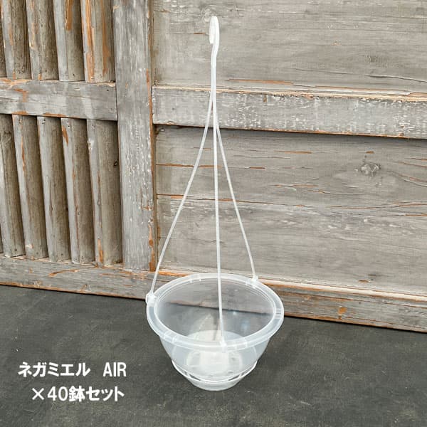 園芸ネット本店｜吊り鉢（透明）：ネガミエル AIR（エアー） 5号吊り鉢