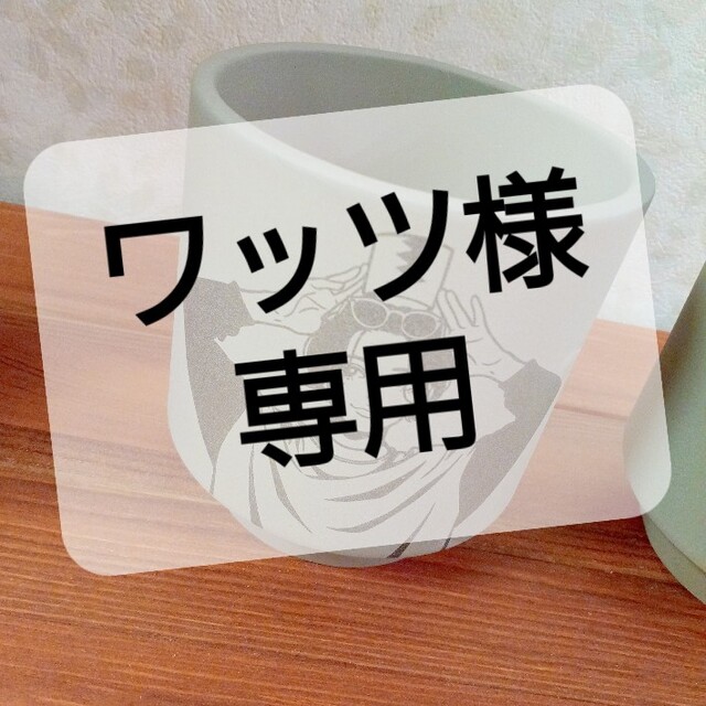 美品】hime aobouzu コラボレーション 鉢 valiemの通販 by モンモン's