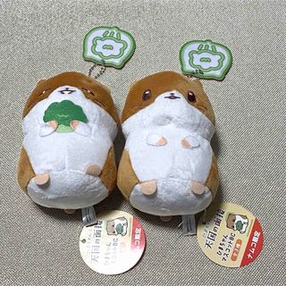 ポケモンセンター ポケモン 添い寝ウィンディ ぬいぐるみの通販 by