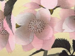 速水御舟 手摺木版画 『夜ざくら』】掛軸・書画・版画の買取実績一覧