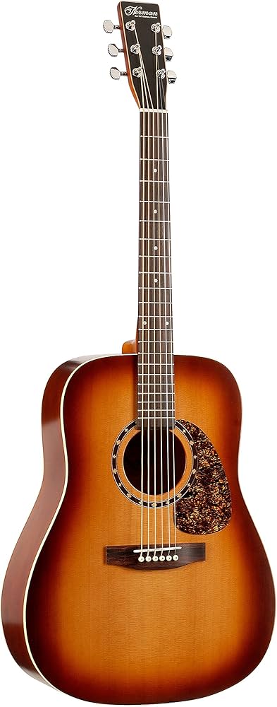 Amazon.co.jp: Norman ノーマン アコースティックギター Protege