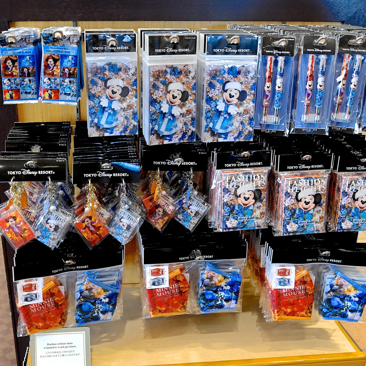 秋冬コスチュームのミニーマウス！東京ディズニーランド「Imagining