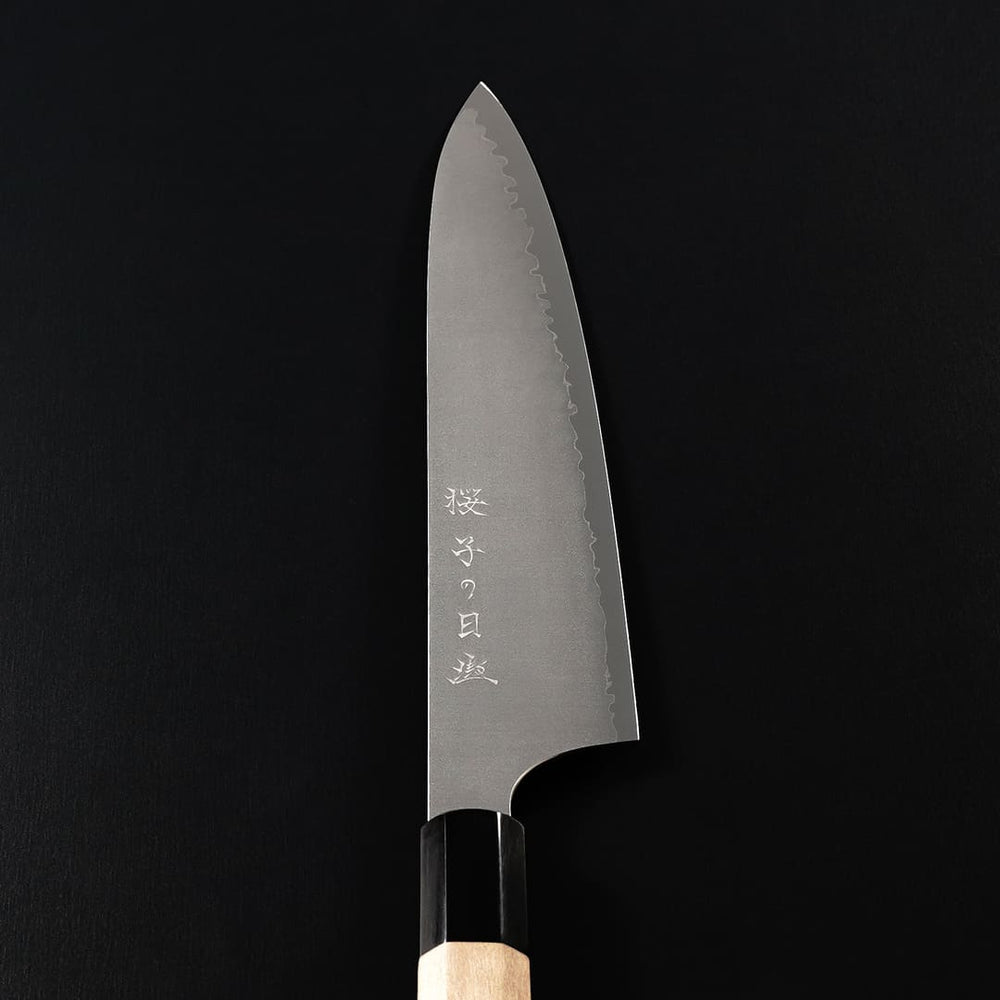 SA-GY210-1_1000x.jpg?v=1689841397