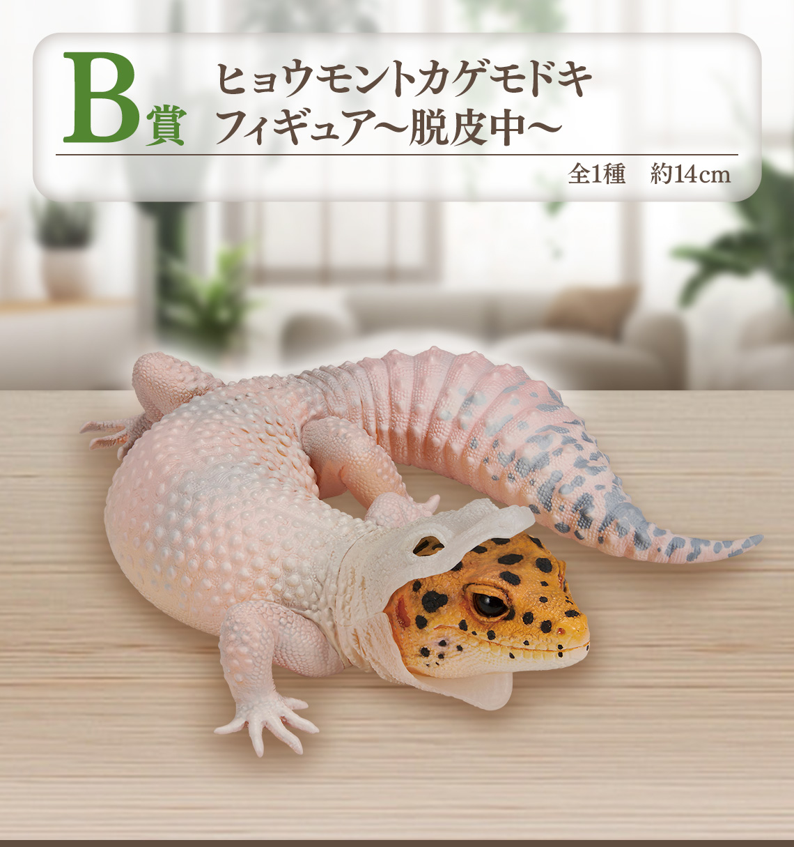一番くじ 爬虫類＆両生類～Tiny Friends～」7月27日より発売決定