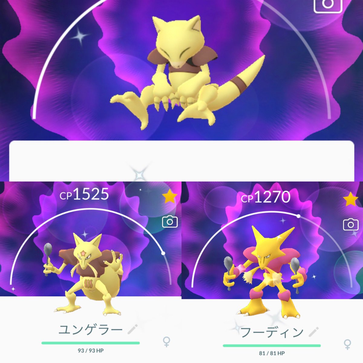 色違いのケーシィ〜ユンゲラー〜フーディン、ぜんぶそろった