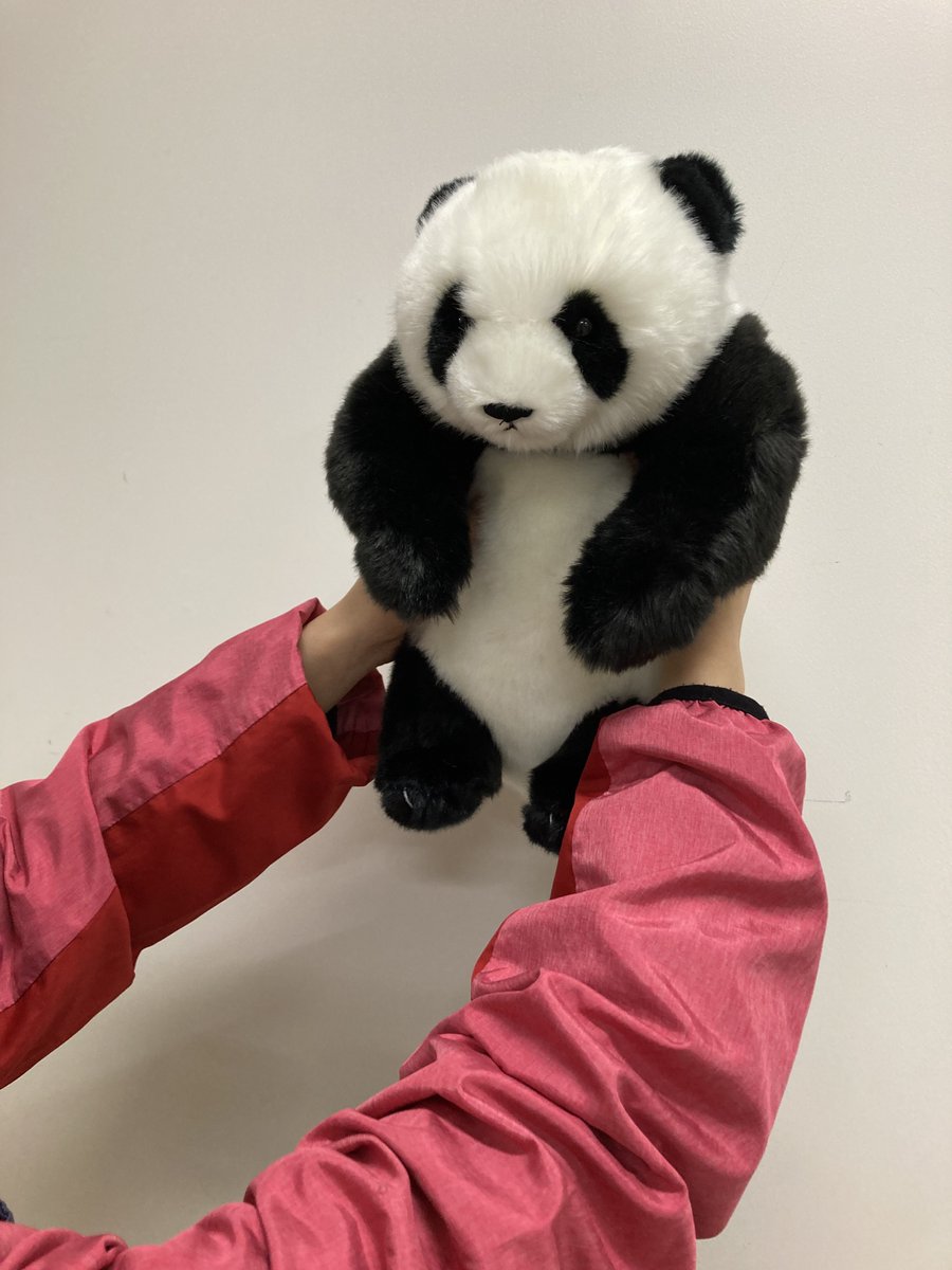 園内ギフトショップより】 「ぬいぐるみ 抱っこミニ」 シャオシャオ