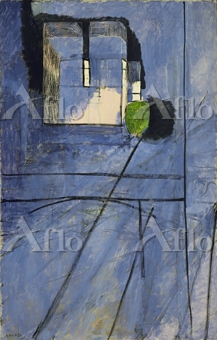 aflo_33313776.jpg