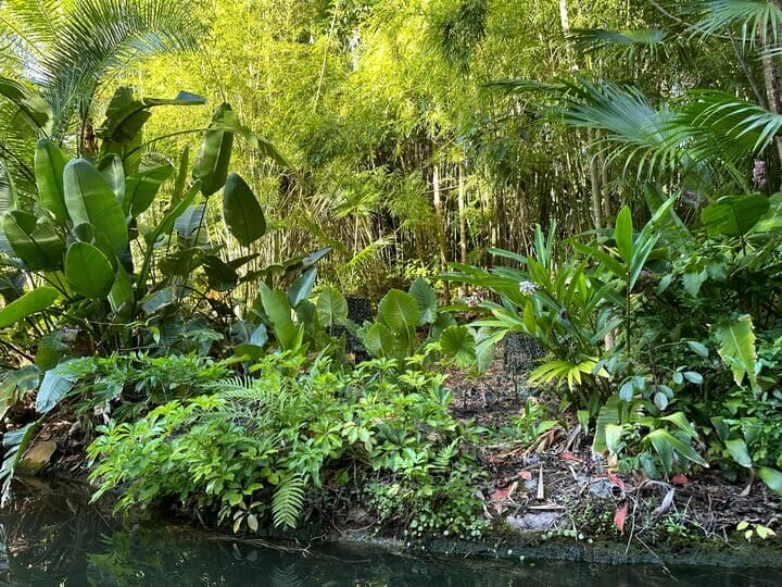 Missing Elephant Animatronic Returns After Almost a Year to Jungle