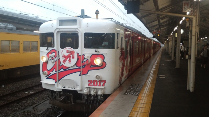 JR西日本 国鉄115系電車 カープ応援ラッピングトレイン2017 クハ115