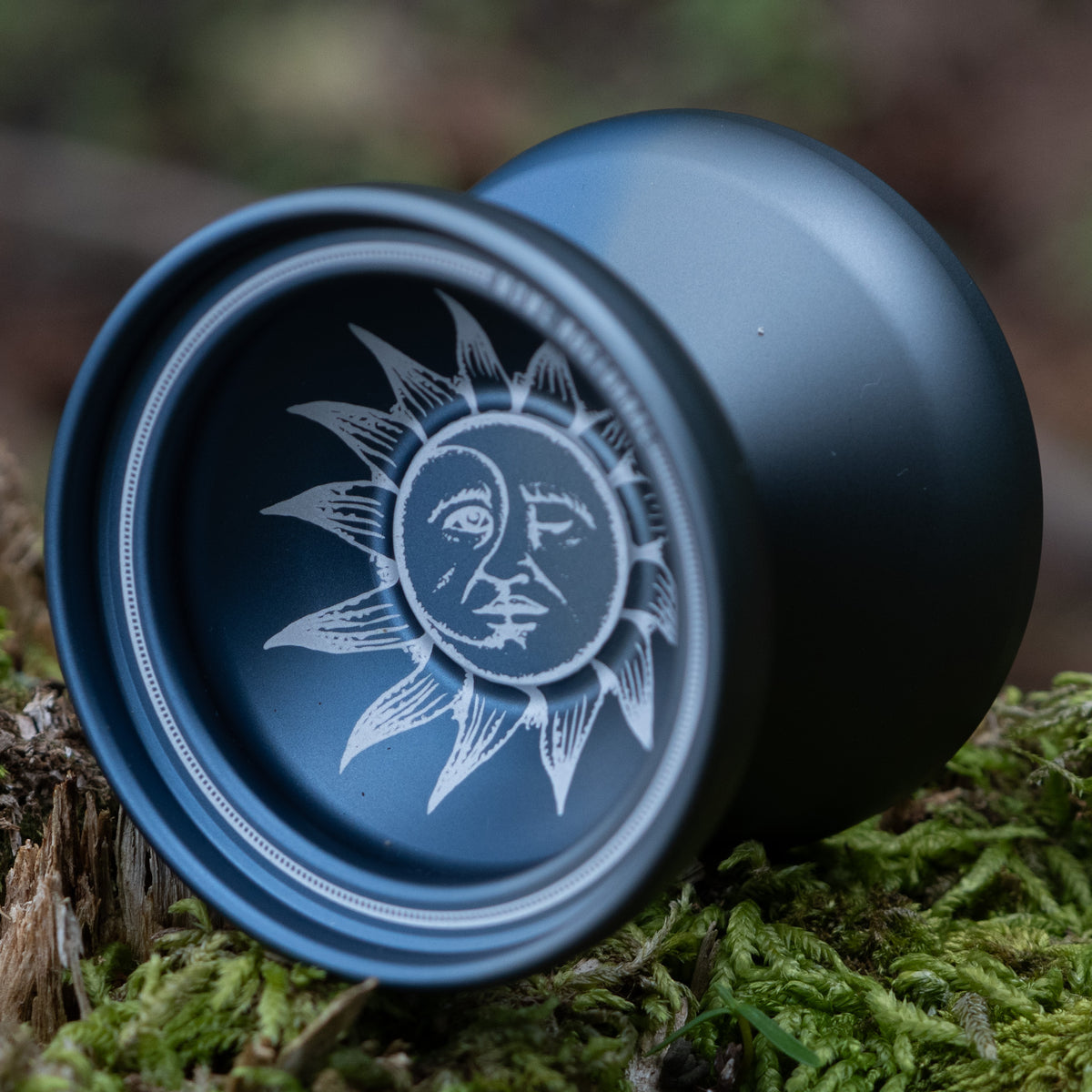 Nocturnal – mowl