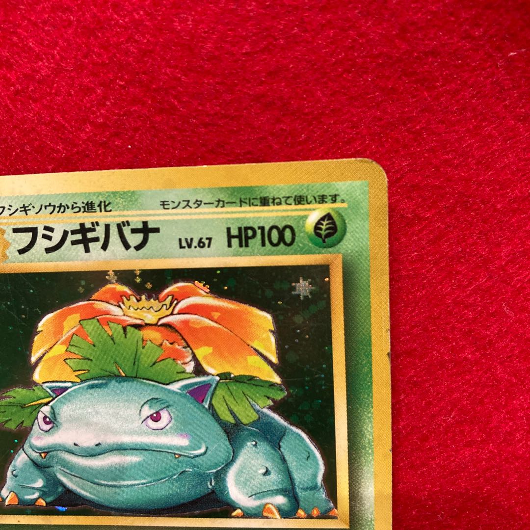 フシギソウ、フシギダ フシギバナ キラ マークあり 旧裏 ☆ 1枚の通販