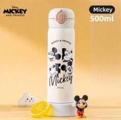 Disney ミッキー＆フレンズ ステンレスボトル - メルカリ