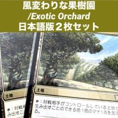 MTG風変わりな果樹園/Exotic Orchard 日本語版2枚セット友なる石