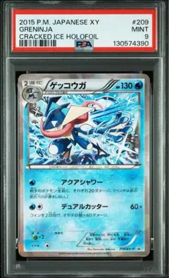 2026年最新】209/XY-P ゲッコウガの人気アイテム - メルカリ