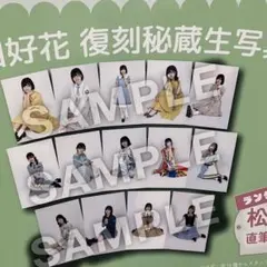 2026年最新】秘蔵生写真 日向坂の人気アイテム - メルカリ