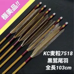 2026年最新】弓道 KCの人気アイテム - メルカリ