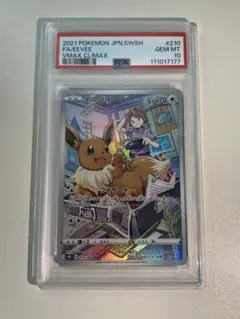 2026年最新】イーブイ psa10 chrの人気アイテム - メルカリ