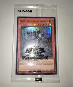 2026年最新】遊戯王 聖域に仕えし練達の魔導師の人気アイテム - メルカリ