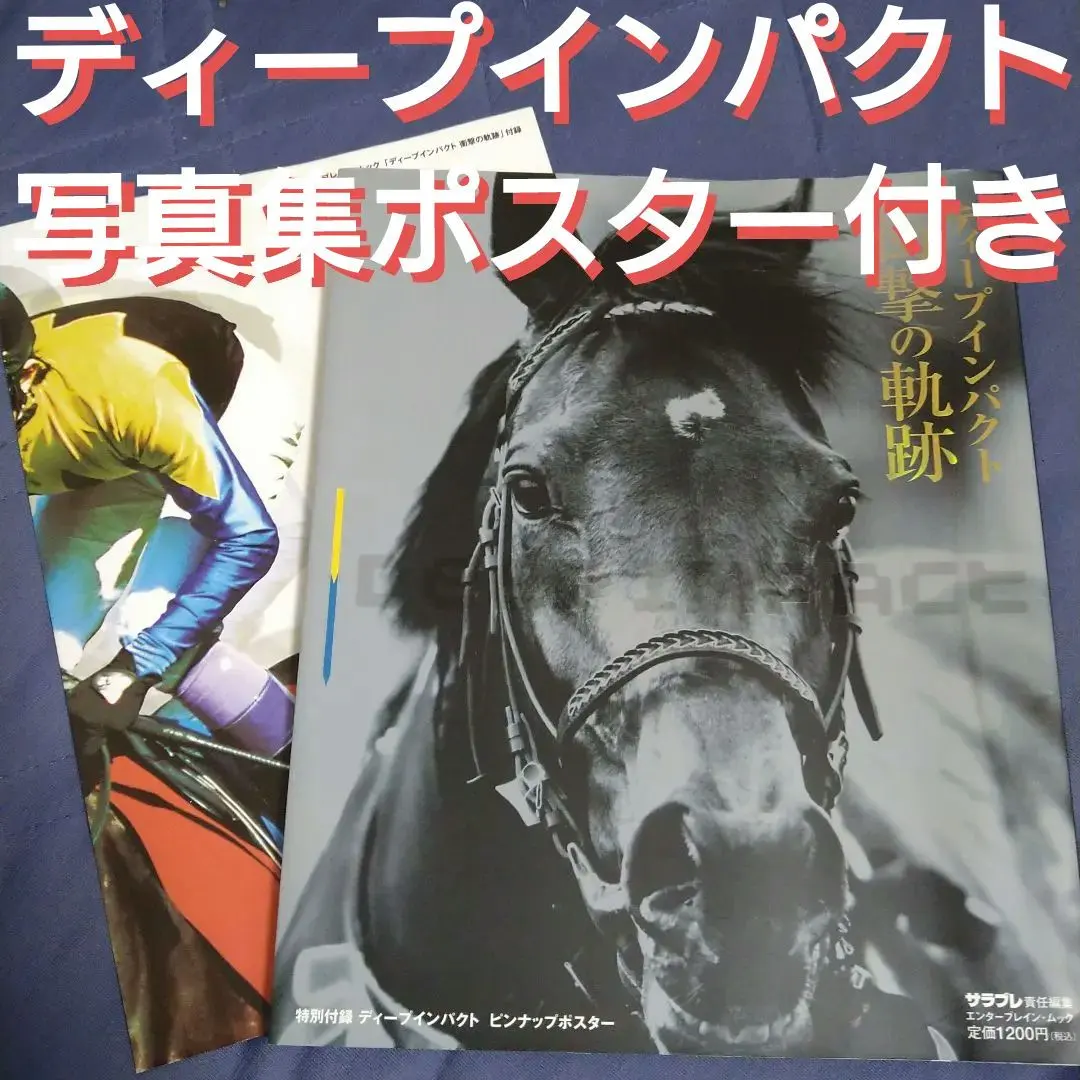 2026年最新】ポスター ディープインパクト jraの人気アイテム - メルカリ