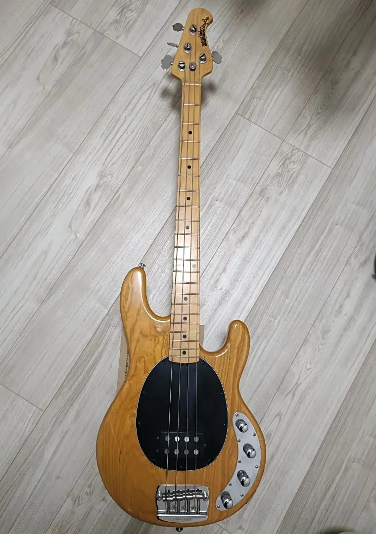 2026年最新】MusicMan STINGRAY exの人気アイテム - メルカリ