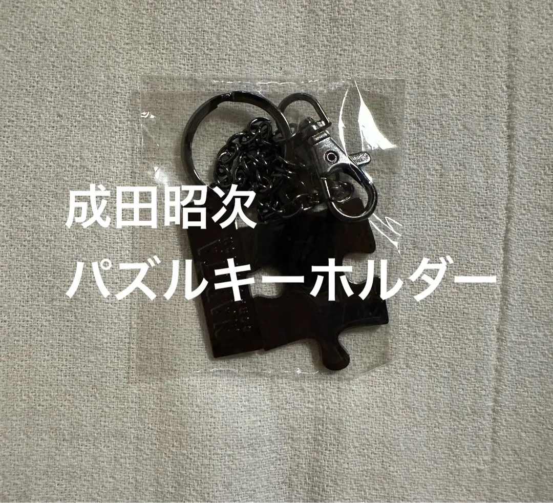 2026年最新】成田昭次 パズルの人気アイテム - メルカリ