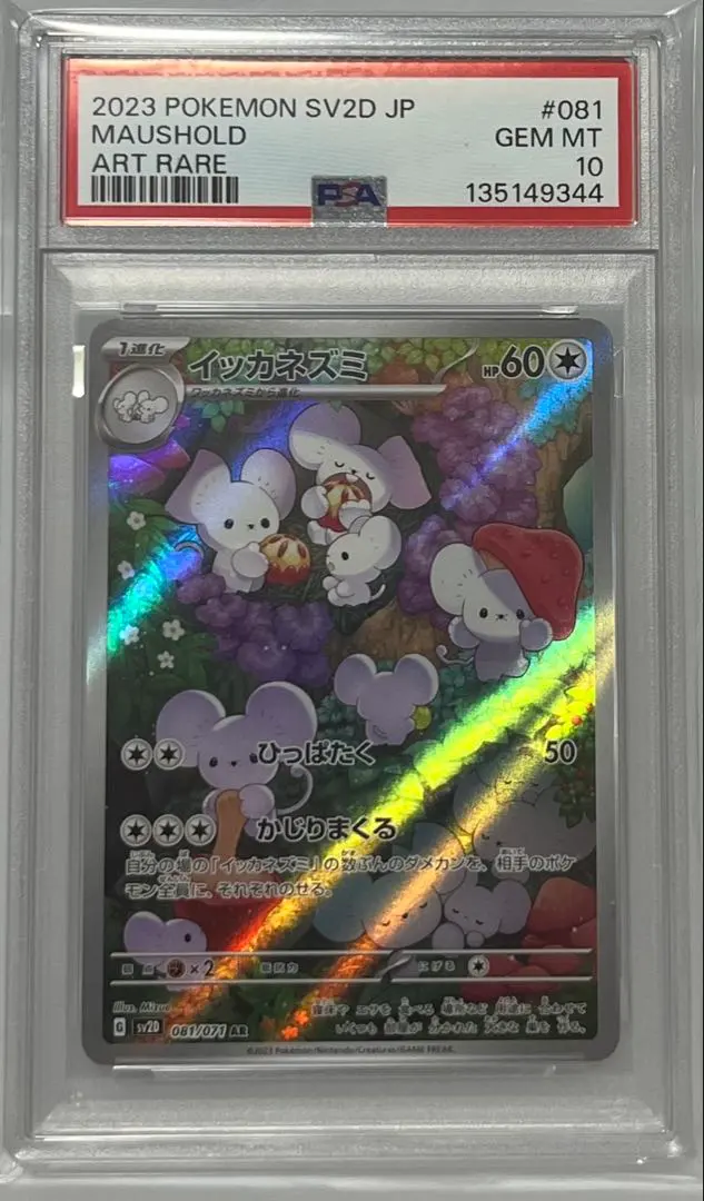 2026年最新】イッカネズミar psa10の人気アイテム - メルカリ
