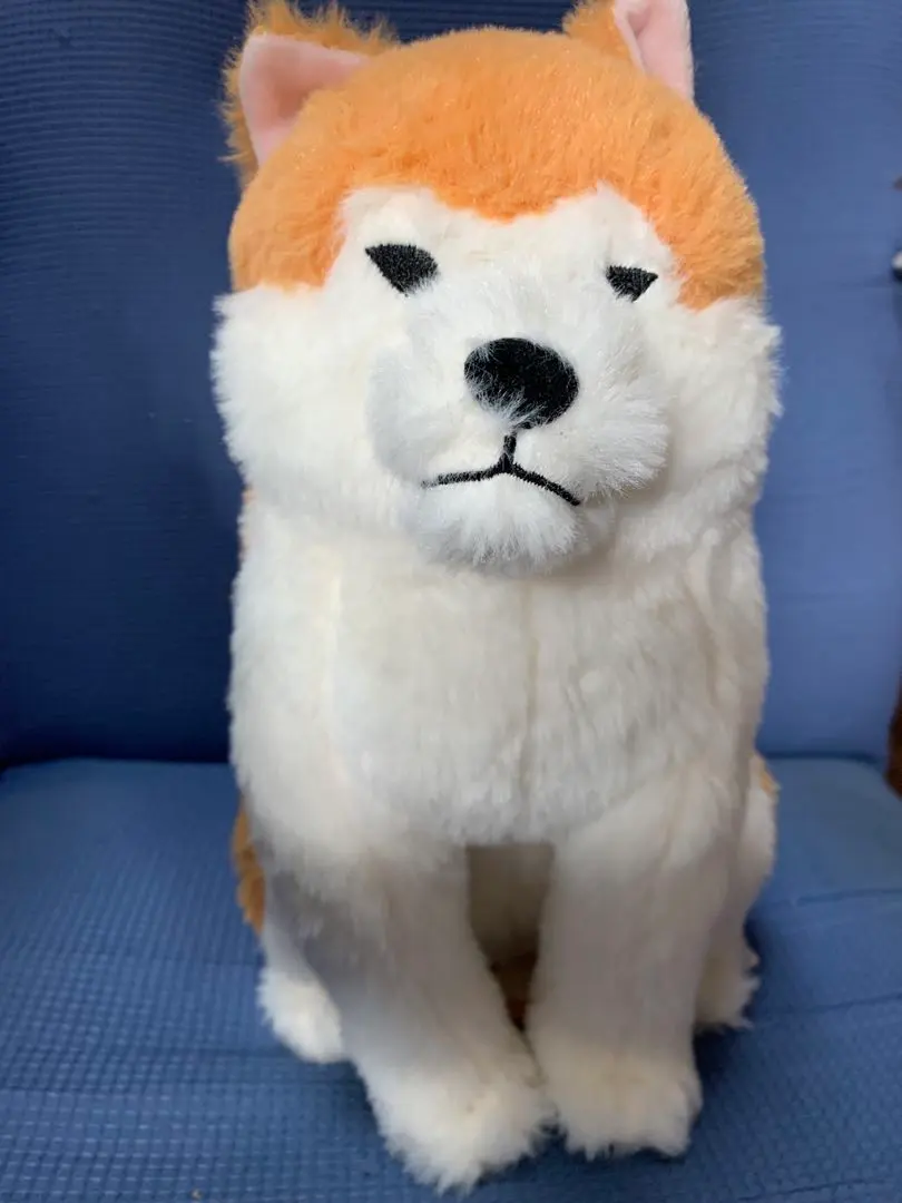 2026年最新】秋田犬 ほっこりの人気アイテム - メルカリ