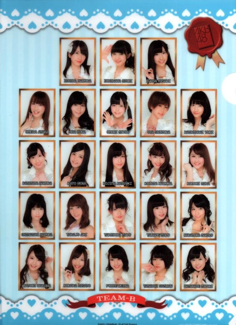 AKB48 チームB 2013 スーパーフェスティバル A4クリアファイル - メルカリ