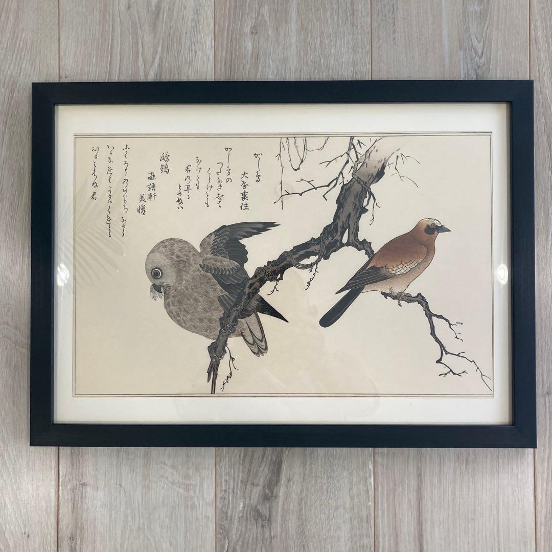 喜多川歌麿 『百千鳥 かし鳥に鴟鶉』手摺木版画 悠々洞出版 浮世絵