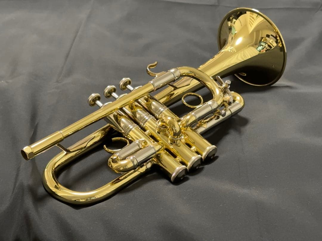 V.BachアルティザンE♭管 AE190GL選定品 [中古] - メルカリ